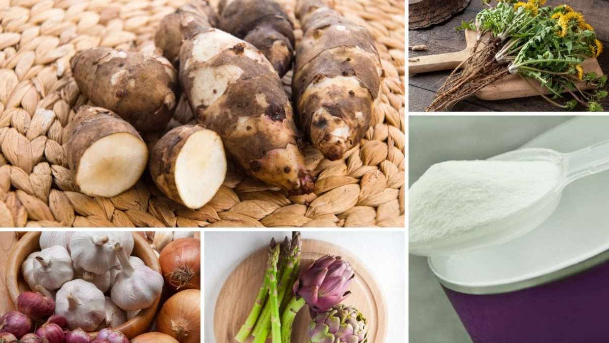 Food Sources of inulin
