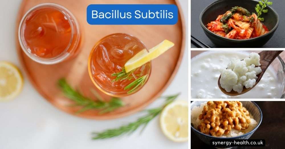 Food Sources of Bacillus Subtilis