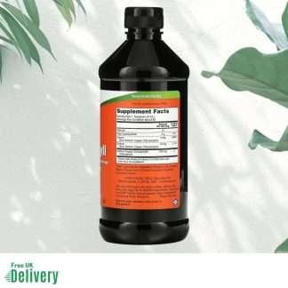 Now Foods Chlorophyll Liquid Natural Mint Flavour 473ml